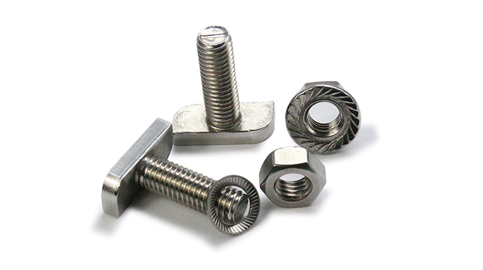 Stainless Steel Fasteners T bolts